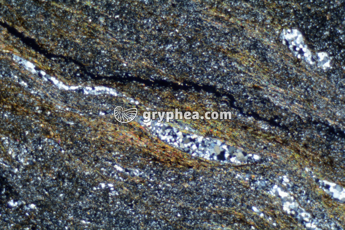 Micaschiste à cordiérite (Agly) LPA x10 - gryphea.com